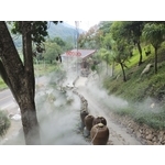 園區降溫造景 - 欣旺設計有限公司