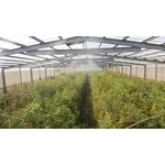 溫室加濕降溫 - 欣旺設計有限公司