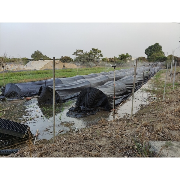 農業灑水,欣旺設計有限公司