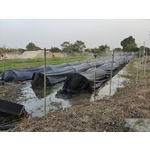 農業灑水 - 欣旺設計有限公司