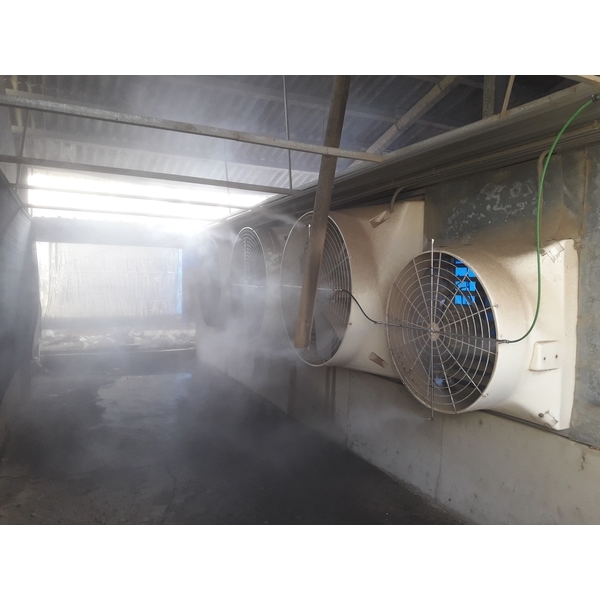 豬場消毒除臭-欣旺設計有限公司