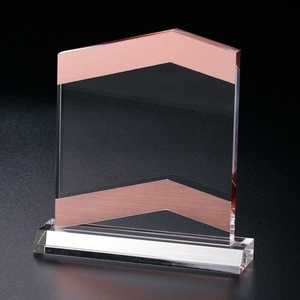 壓克力獎牌,星友有限公司