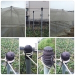 平頂網室設施資材/網室固定帽／DJ系列 , 安稼企業股份有限公司