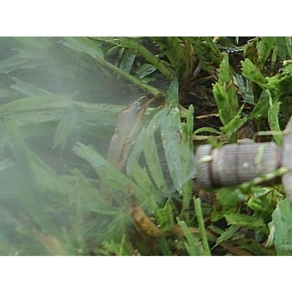 造霧噴頭 (造霧系統),安稼企業股份有限公司