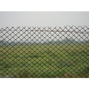 塑膠圍籬網 (萬能菱形PE網菱形網)