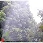 高壓高霧化噴農藥噴槍-安稼企業股份有限公司