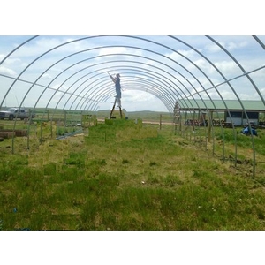 DIY搭建簡易溫室