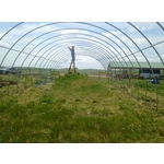 DIY搭建簡易溫室 - 安稼企業股份有限公司