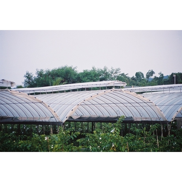 DIY搭建簡易溫室