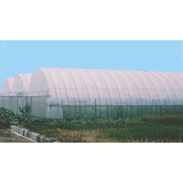 DIY搭建簡易溫室