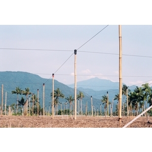 長型通用螺牙厚片壓繩固定網室管帽組 (網室錏管帽)