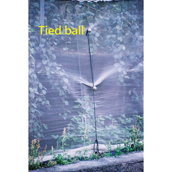 網室固定綁球