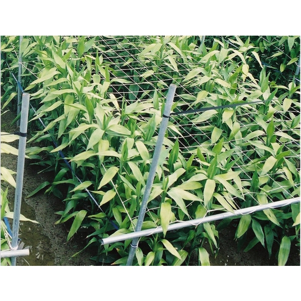 各種農業用網