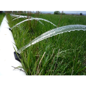 滑門管灌溉水稻田