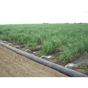 滑門管用於甘蔗溝灌