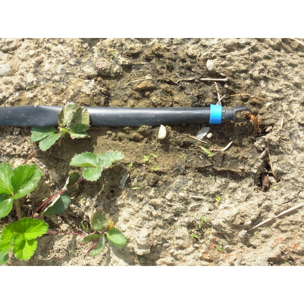 滴灌帶(鑲片式滴水帶)-安稼企業股份有限公司