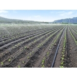 噴水管灌溉系統專用管路配件-安稼企業股份有限公司