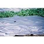 銀黑覆蓋地膜PE塑膠膜 - 安稼企業股份有限公司