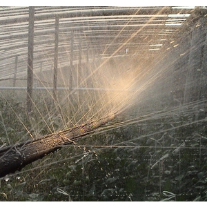 吊邊式噴水管(噴水帶)