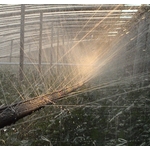 吊邊式噴水管(噴水帶) - 安稼企業股份有限公司