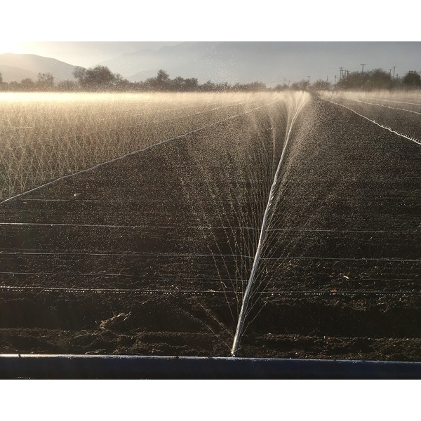 噴水管帶灌溉,安稼企業股份有限公司