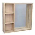 鏡櫃 BA321 , 倢侑股份有限公司