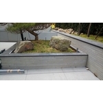 樹穴.水池.景石