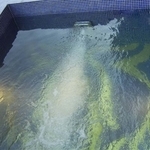 天際飯店水流調速按摩浴工程 - 菩呈股份有限公司/普前水藝工程