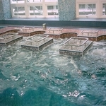 中鋼公司多向按摩工程