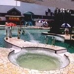 香格里拉樂園漩渦按摩浴工程-菩呈股份有限公司/普前水藝工程