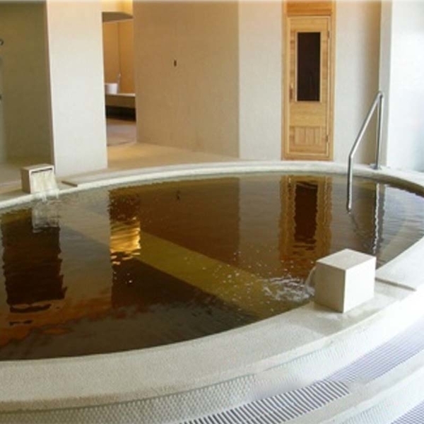 南方莊園渡假飯店芳香池工程,菩呈股份有限公司/普前水藝工程