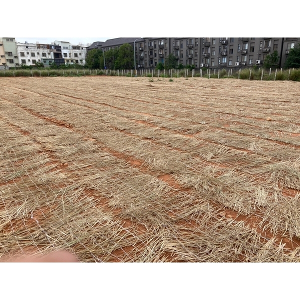 台中市龍井區~整地鋪陳 台中市龍井區~整地鋪陳-承蓁工程行