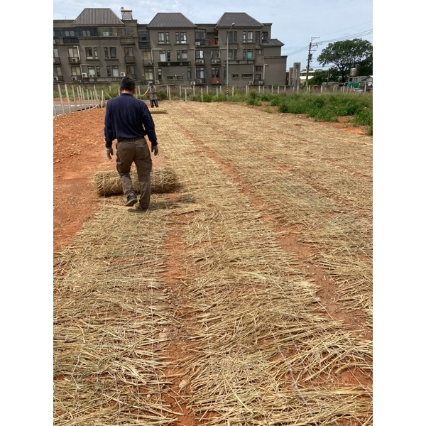 台中市龍井區~整地鋪陳 台中市龍井區~整地鋪陳-承蓁工程行