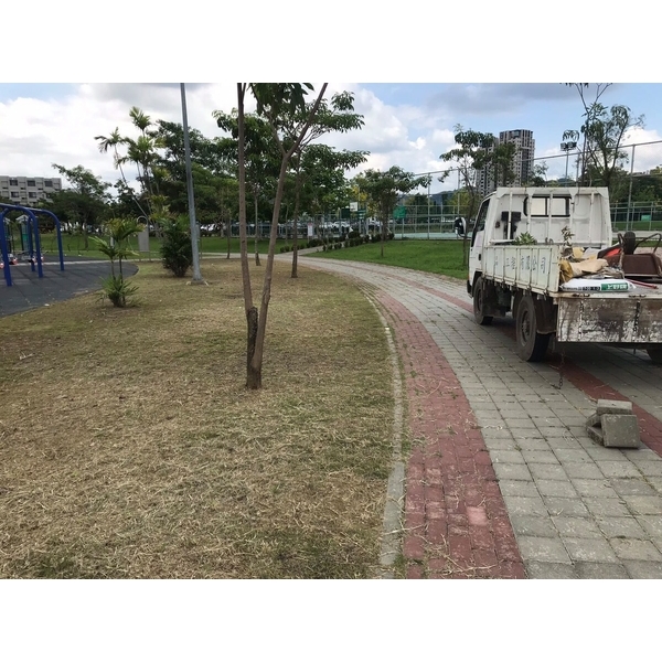 松竹捷運旁.南興路(南興公園)人行步道磚.重鋪整修 松竹捷運旁.南興路(南興公園)人行步道磚.重鋪整修-承蓁工程行