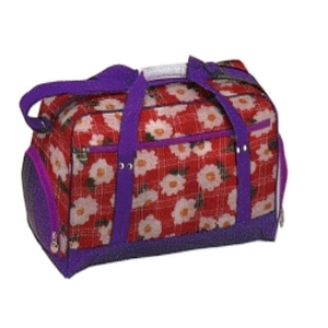 景興設計模擬系統(DSS)(皮包) , 景興電腦科技有限公司