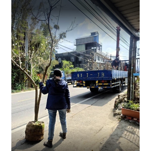 苗木運送,東平種苗園