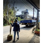 苗木運送 - 東平種苗園