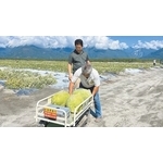 花蓮西瓜採收遇缺工困境 東華研發AI採收車省人力 - 東華大學社會責任行動中心