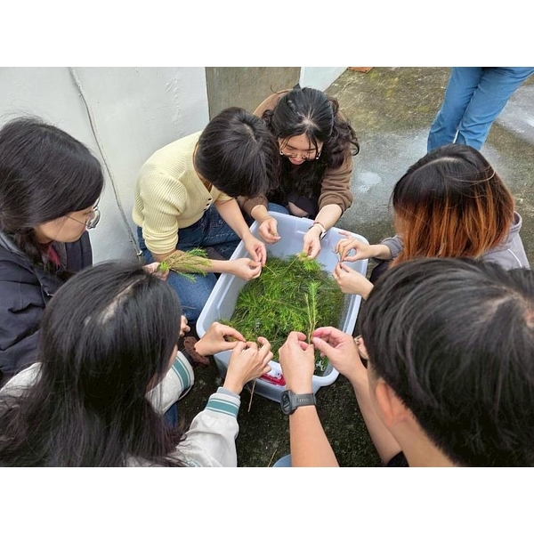 從葉片到香氣 東華大學學生親手蒸餾打造專屬精油產品