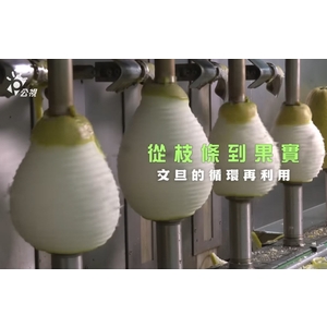 從枝條到果實，文旦的循環再利用｜農業廢棄物變身