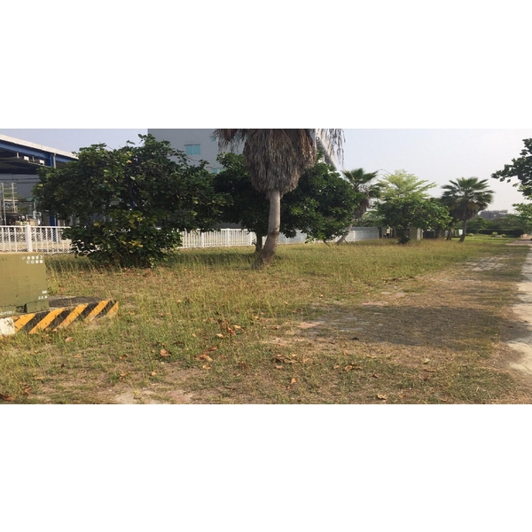 工廠廠區雜草修整清除前(後)-澄明環境清潔股份有限公司