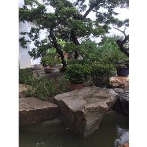 園區景緻,清宏造園