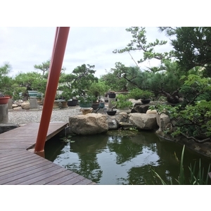 園區景緻,清宏造園