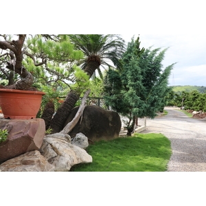 園區景緻,清宏造園