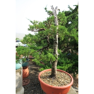 園區景緻,清宏造園