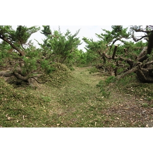 植栽園區,清宏造園