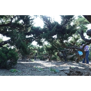 植栽園區,清宏造園
