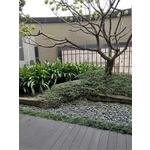 景觀設計-清宏造園