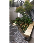 景觀設計-清宏造園