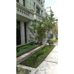 景觀設計,清宏造園